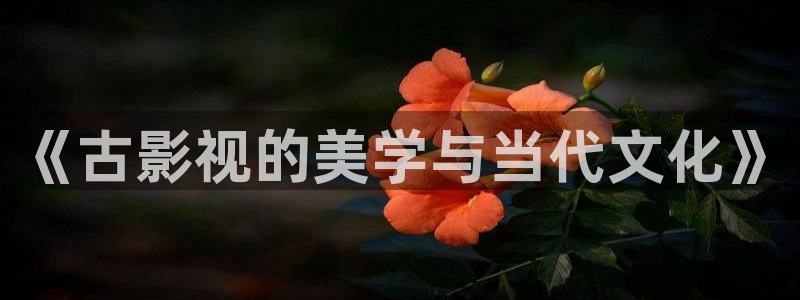看黄色的丝瓜视频