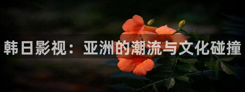 com.丝瓜视频免费