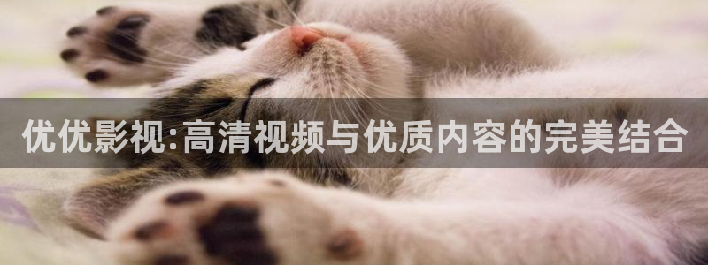 欧美丝瓜视频：优优影视:高清视频与优质内容的完美结合