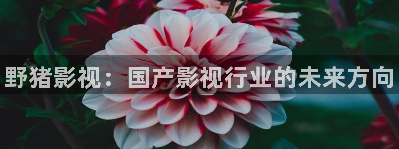 丝瓜视频哈